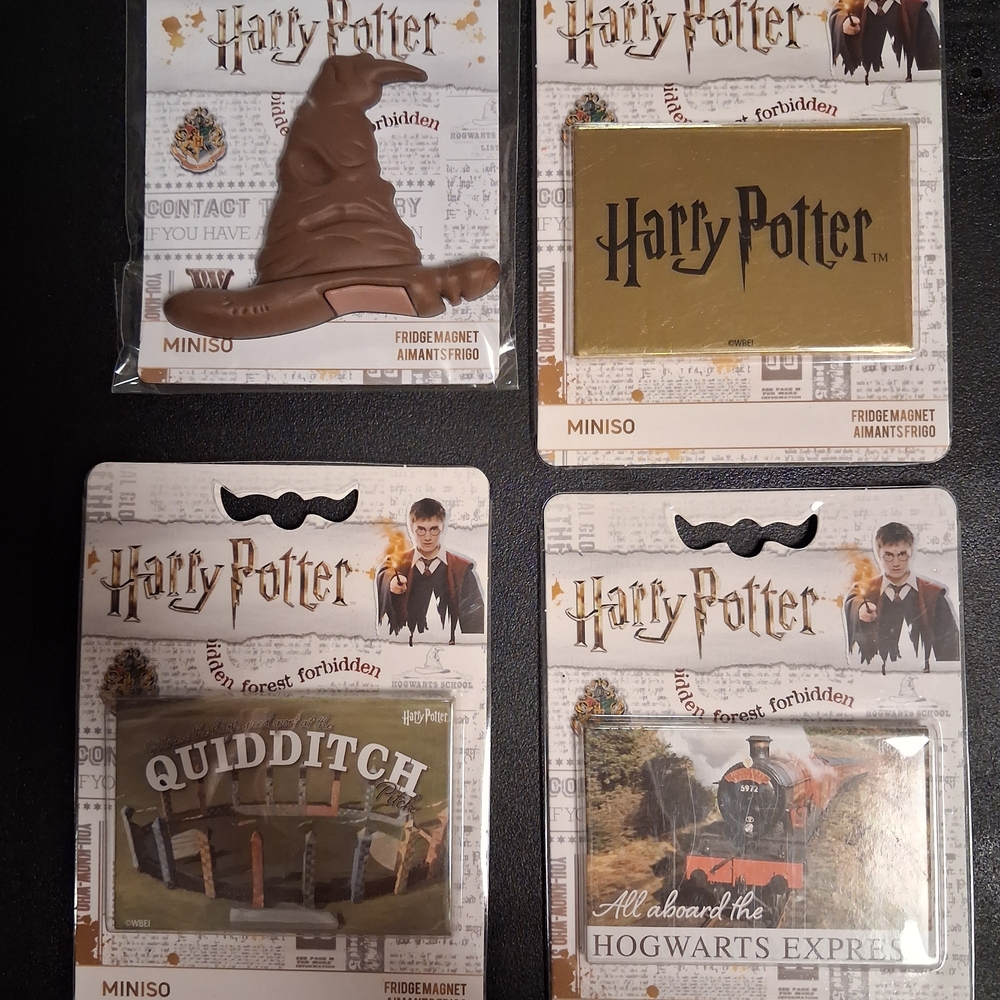 Harry Potter Miniso 4 Fridge Magnets